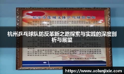 杭州乒乓球队防反革新之路探索与实践的深度剖析与展望